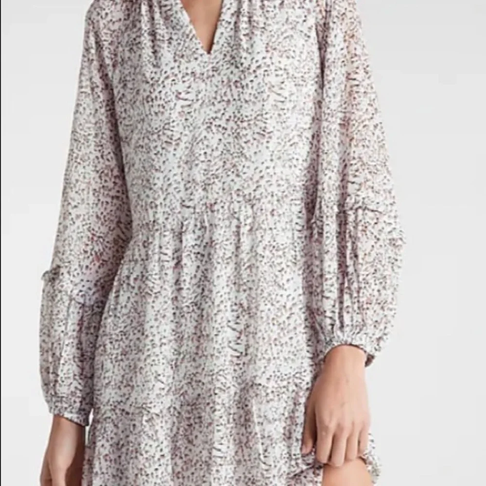 Animal Print Trapeze Tiered Dress - Picture 2 of 7